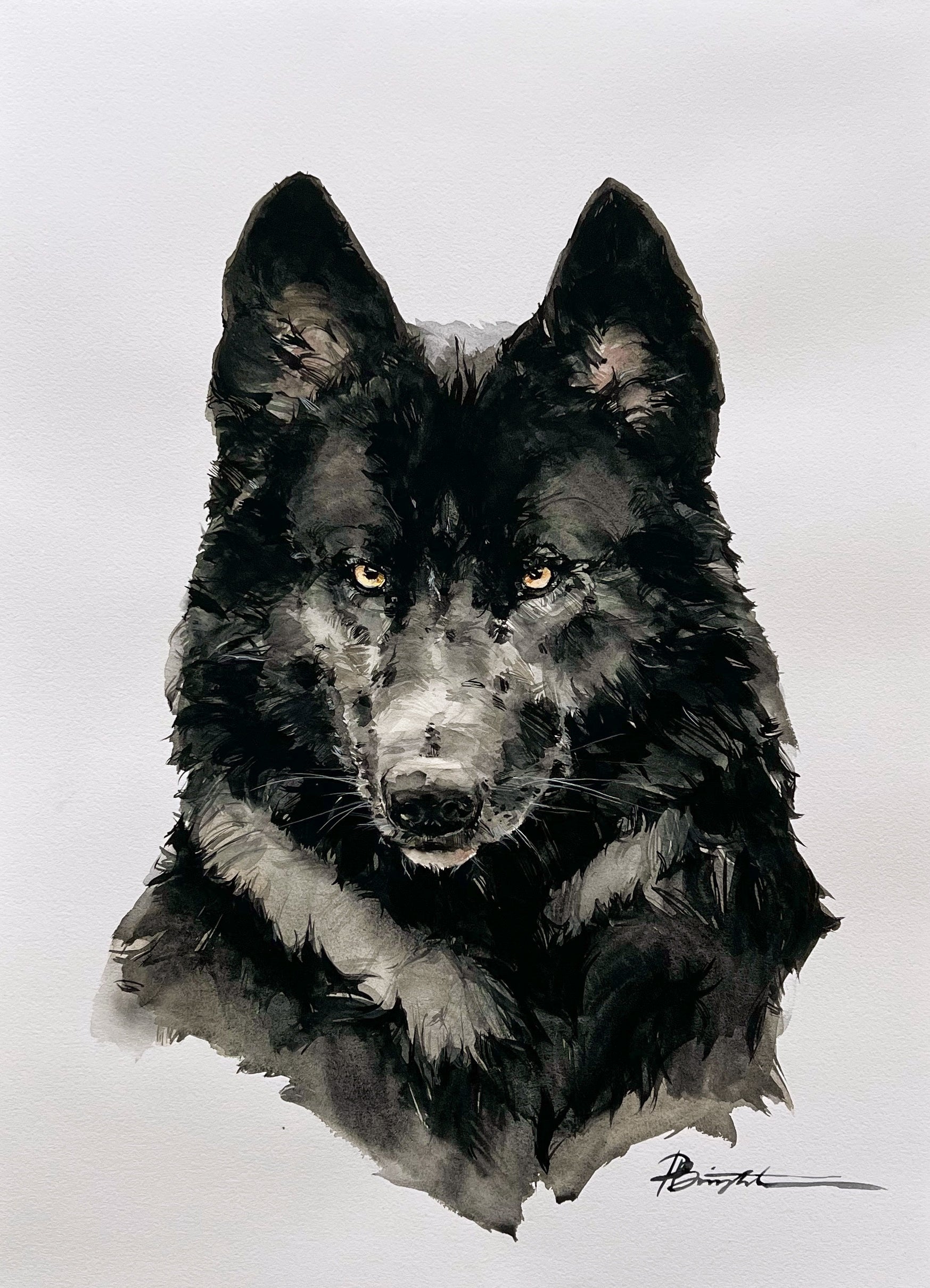 Black timber wolf - original painting