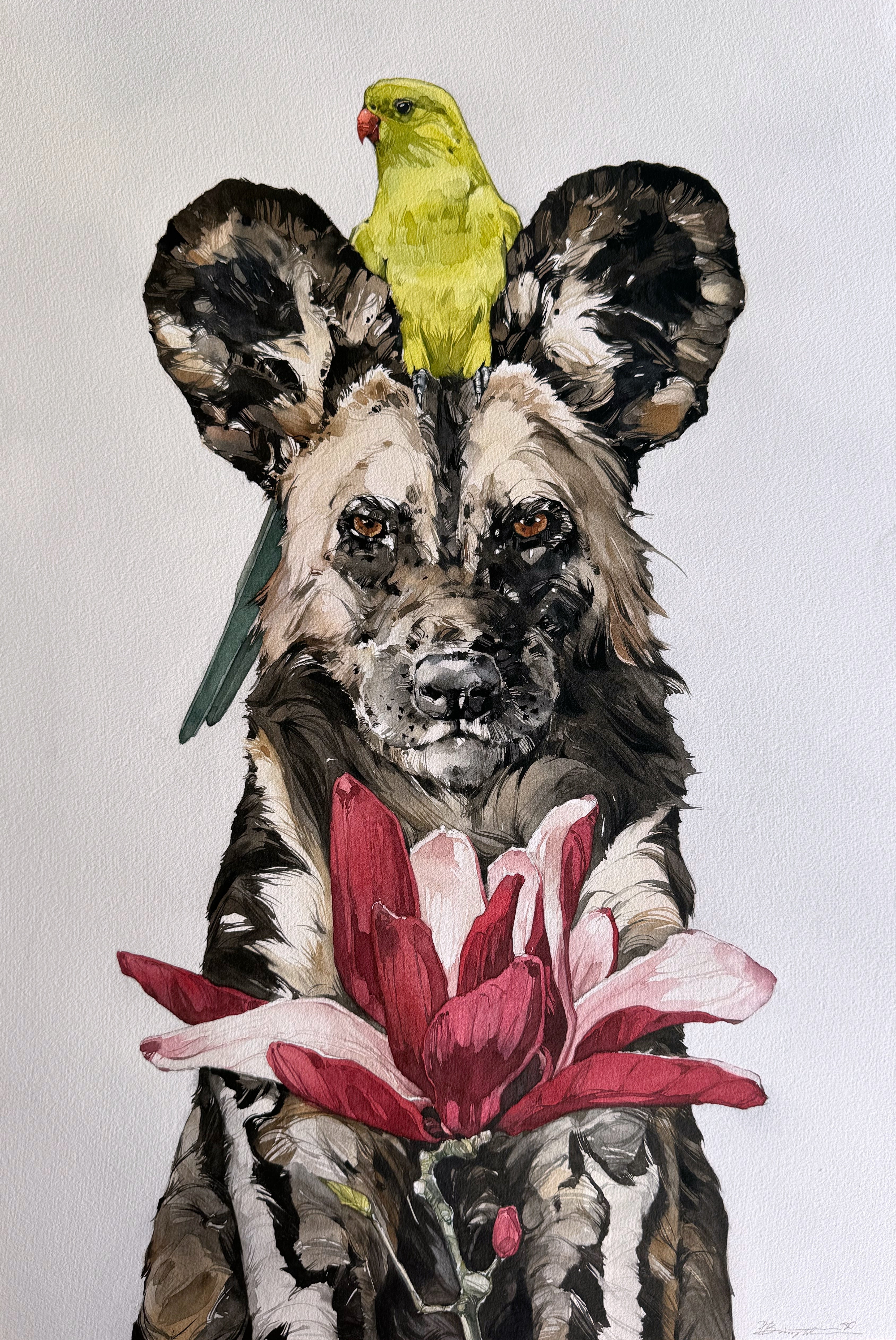 Trio: Regent parrot • African wild dog • Magnolia liliiflora  - original painting