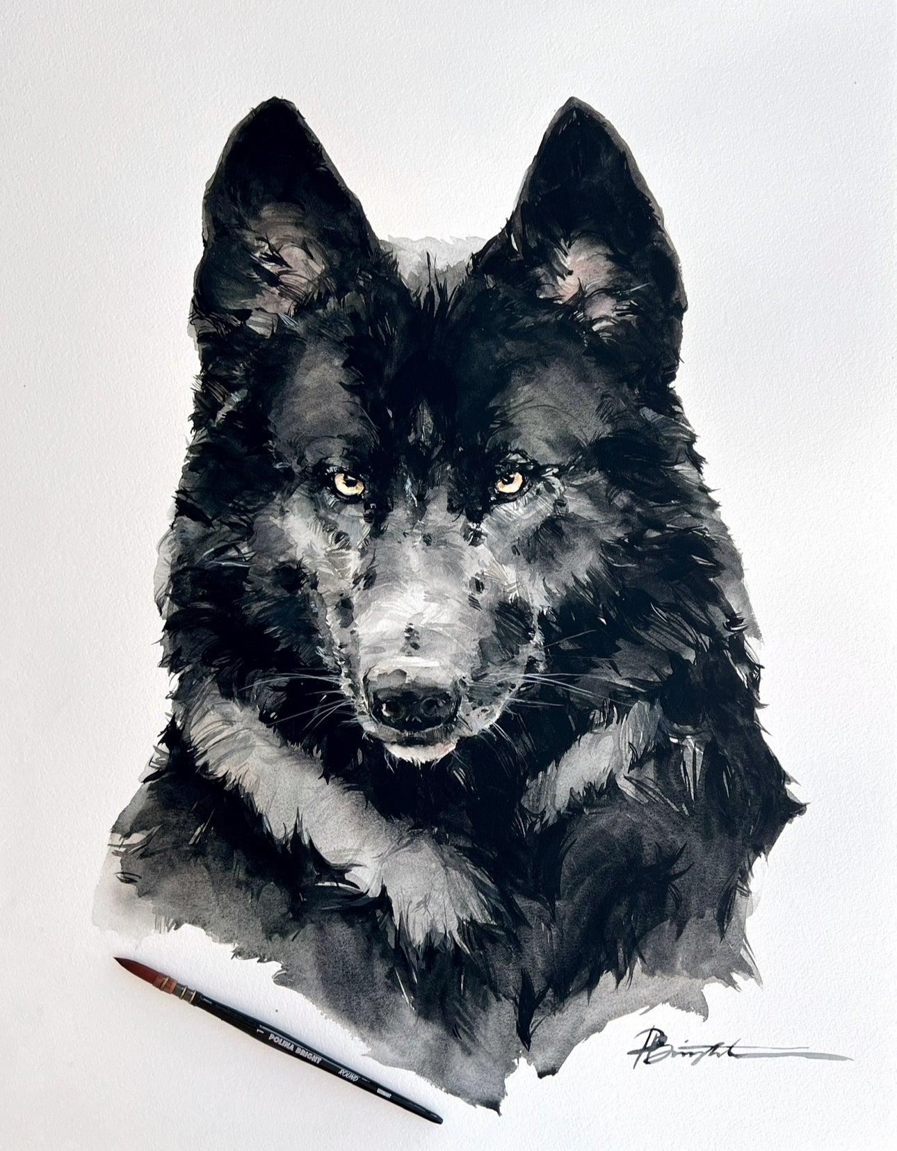 Black timber wolf - original painting