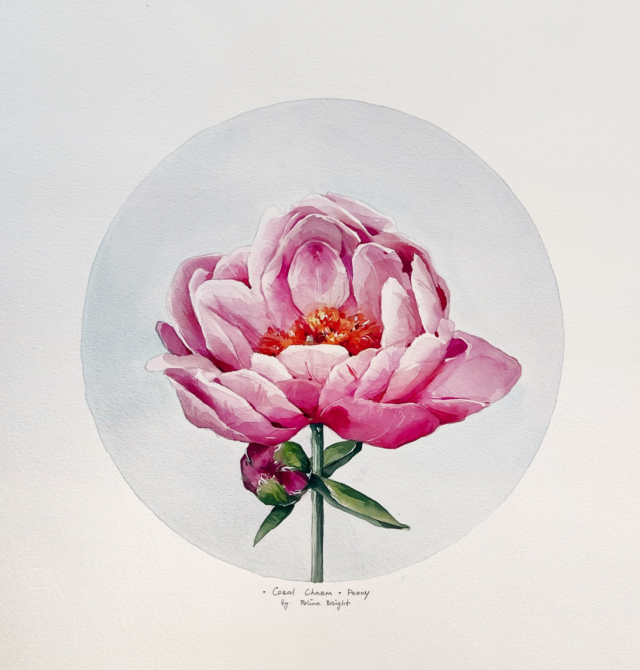 Coral 2024 charm peony