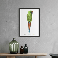 Military macaw - print